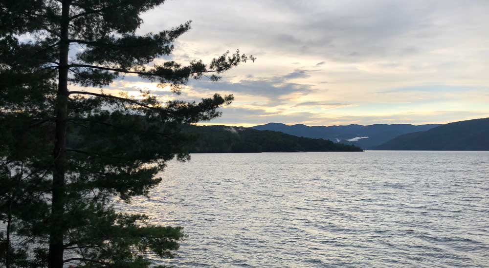 tree with lake and mountains in background